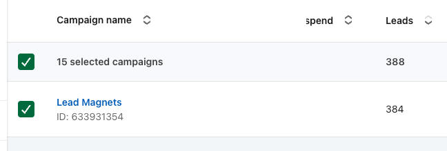 LinkedIn Campaign Manager — 388 leads across 15 campaigns, 384 of them from Lead Magnets